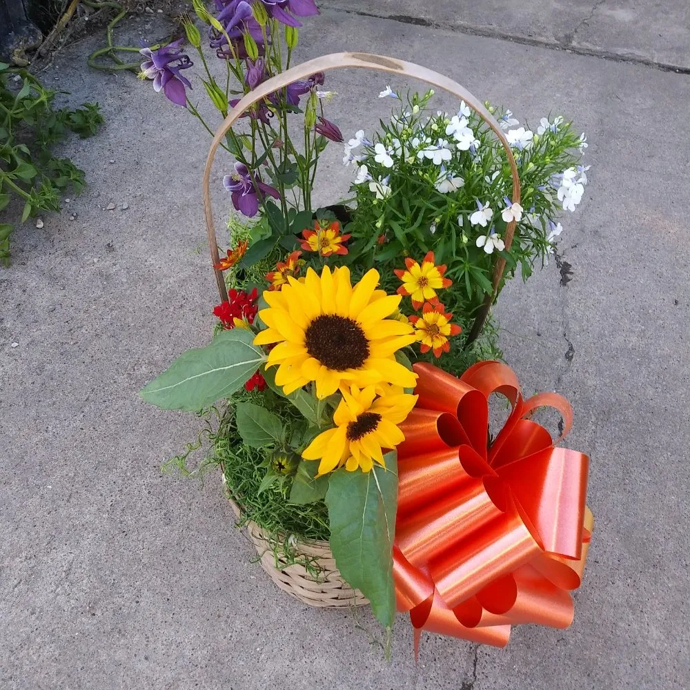 Local landscaping services experts serving Nederland, TX - Cook's Nursery Nederland