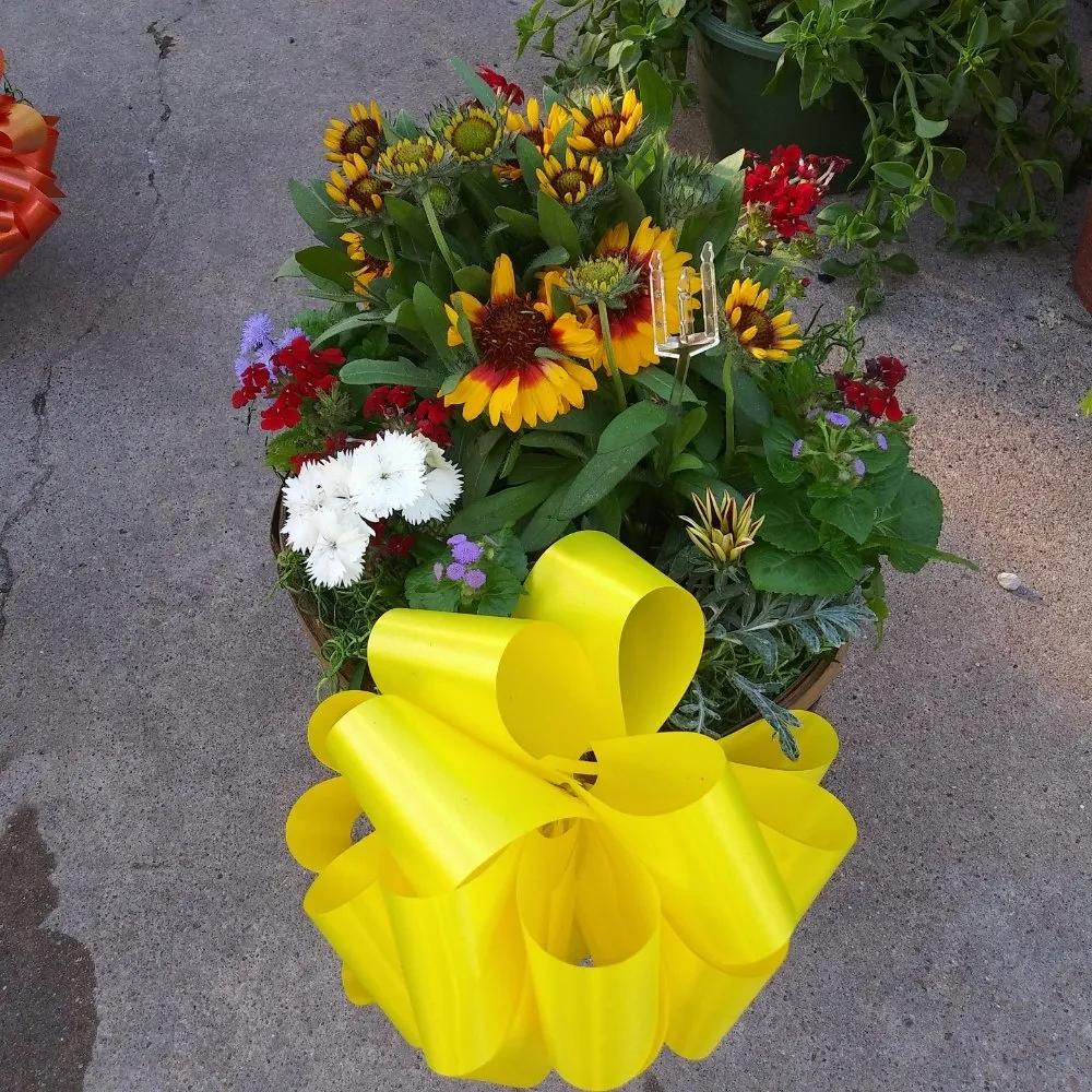 Reliable outdoor landscaping in Nederland, TX by Cook's Nursery Nederland