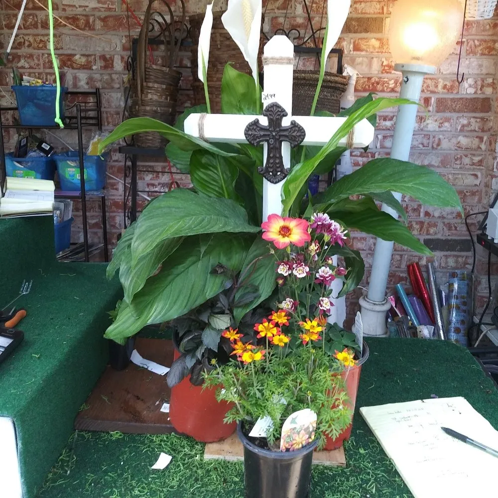 Reliable garden landscaping experts serving Nederland, TX - Cook's Nursery Nederland