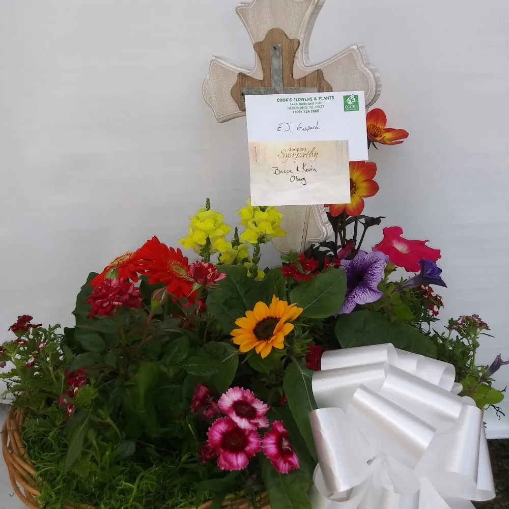 Custom lawn care service for beautiful yards across Nederland, TX - Cook's Nursery Nederland