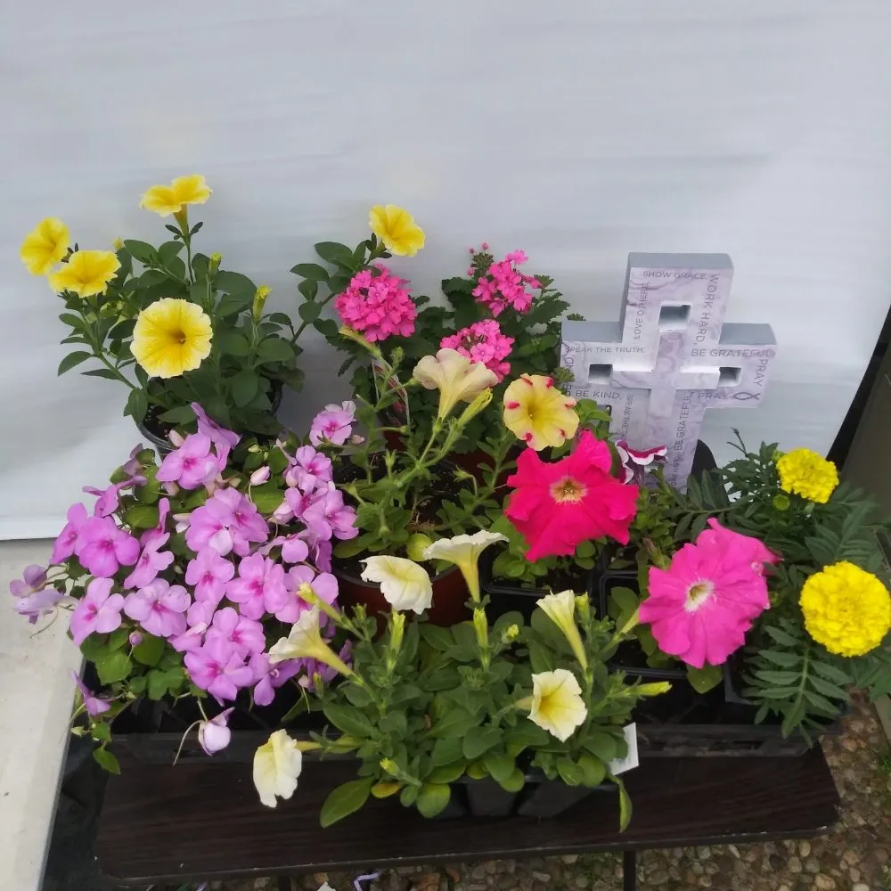 Reliable outdoor landscaping in Nederland, TX - Cook's Nursery Nederland