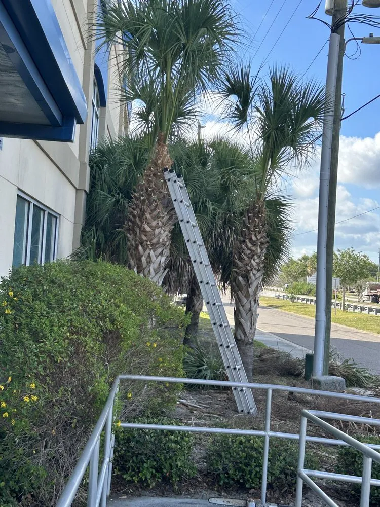 Trusted outdoor landscaping with custom design across Belleair Bluffs, FL - Cooks Quality Lawn Care