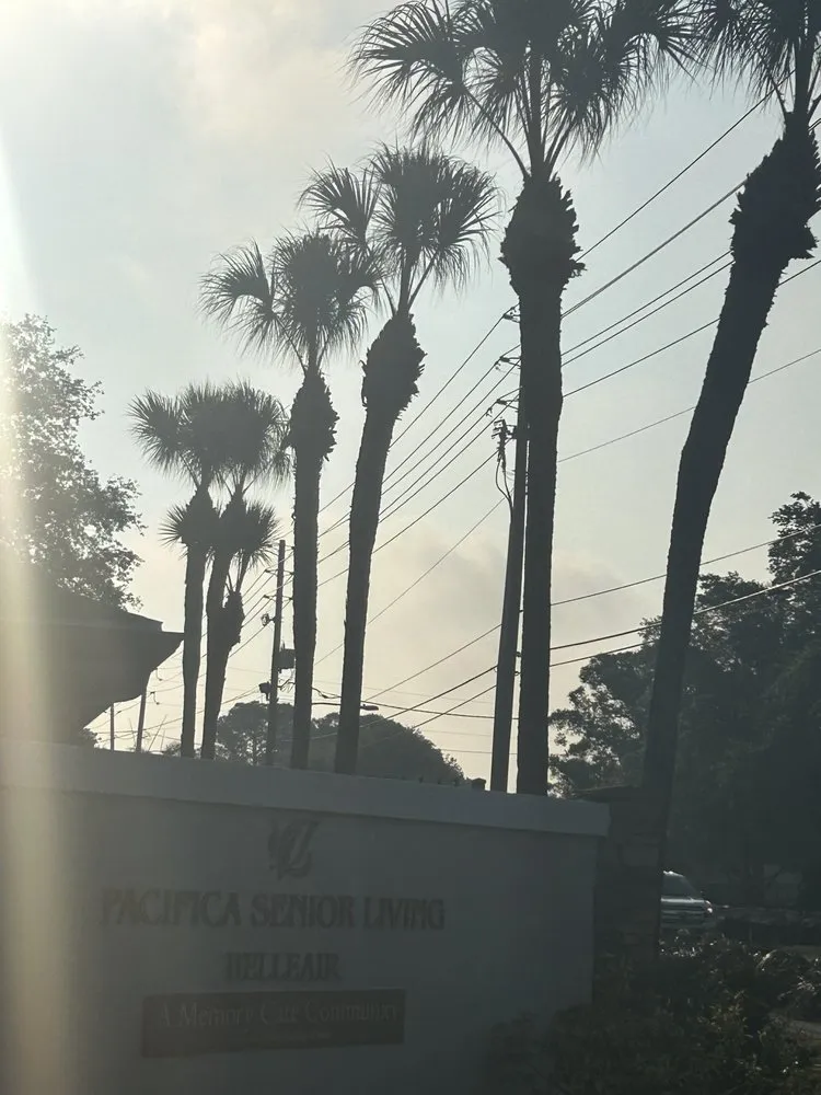 Local landscape design for beautiful yards in Belleair Bluffs, FL by Cooks Quality Lawn Care