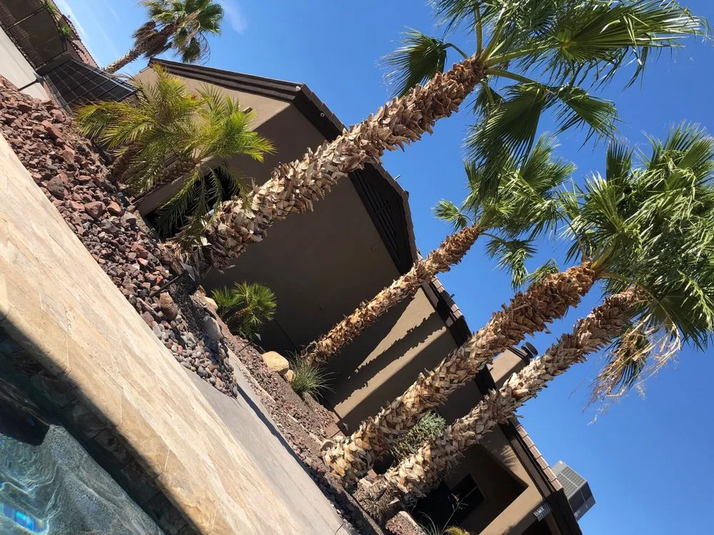 Top-rated garden landscaping for residential properties in Lake Havasu City, AZ by Cool Cactus Landscaping
