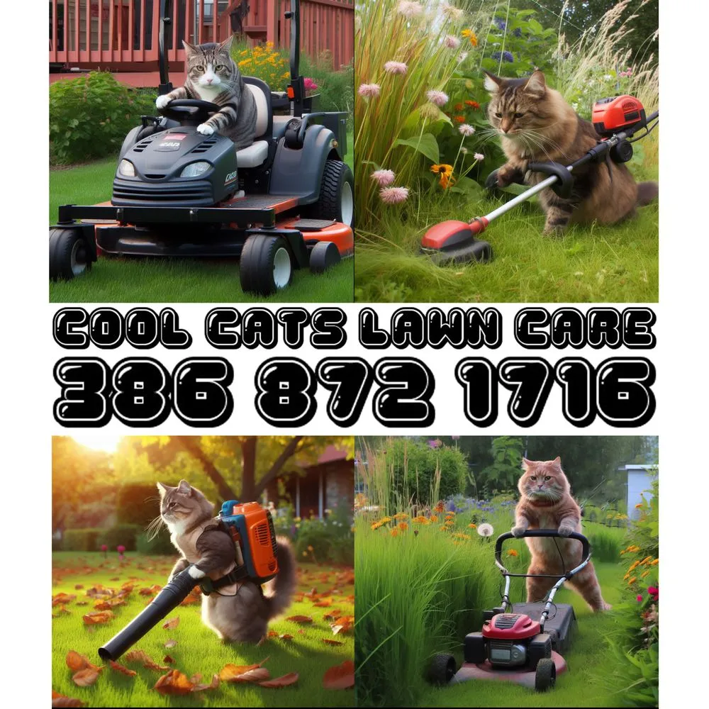 Custom landscape design for year-round maintenance in Daytona Beach, FL by Cool Cats Lawn Care