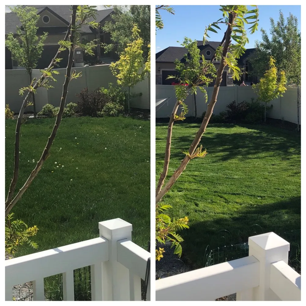 Custom landscaping services in Salt Lake City, UT - Cool Clippings Lawn Care