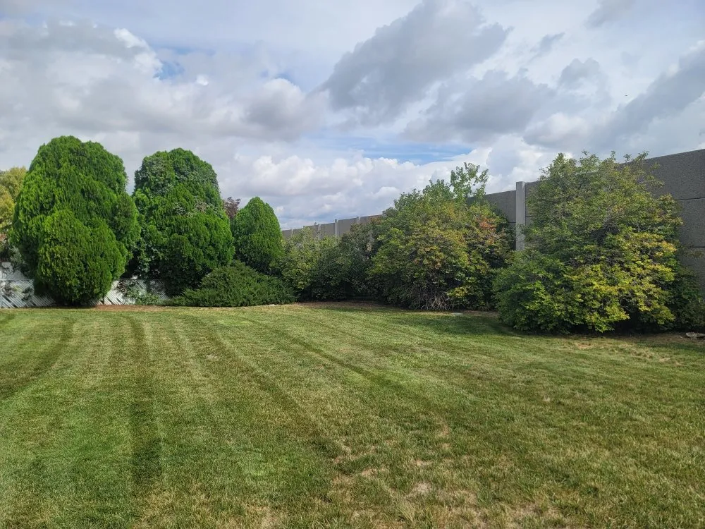 Local outdoor landscaping for outdoor upgrades in Salt Lake City, UT by Cool Clippings Lawn Care