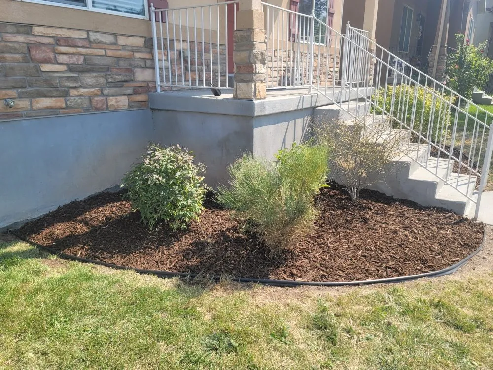 Local residential landscaping in Salt Lake City, UT by Cool Clippings Lawn Care