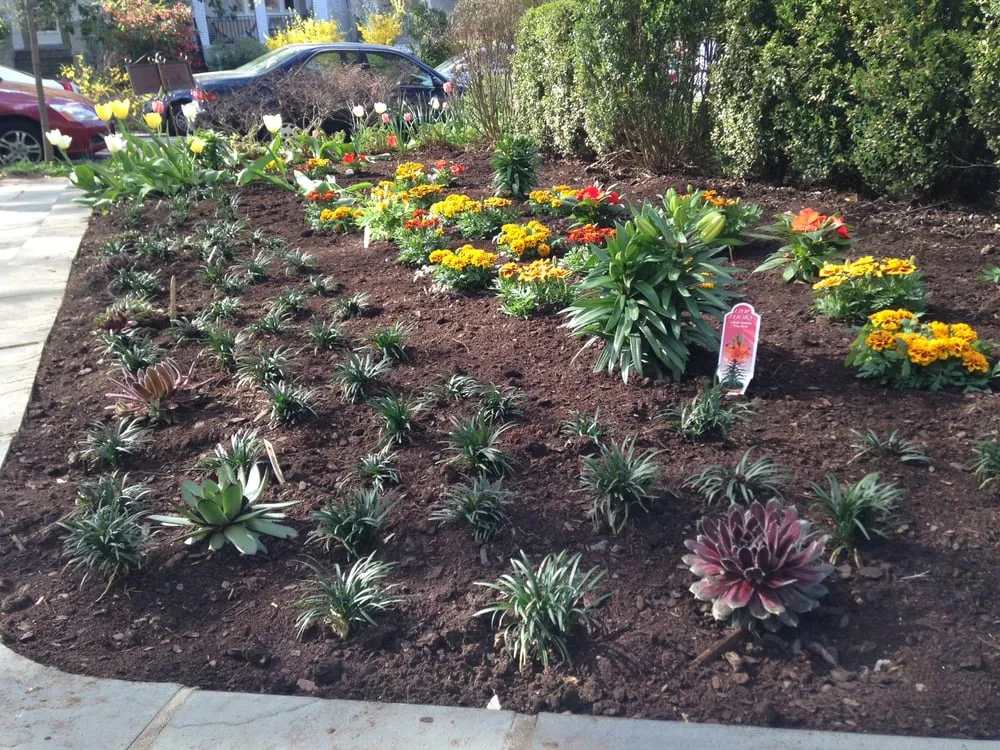 Top-rated landscaping services in Bethesda, MD by Cool Cuts Landscaping