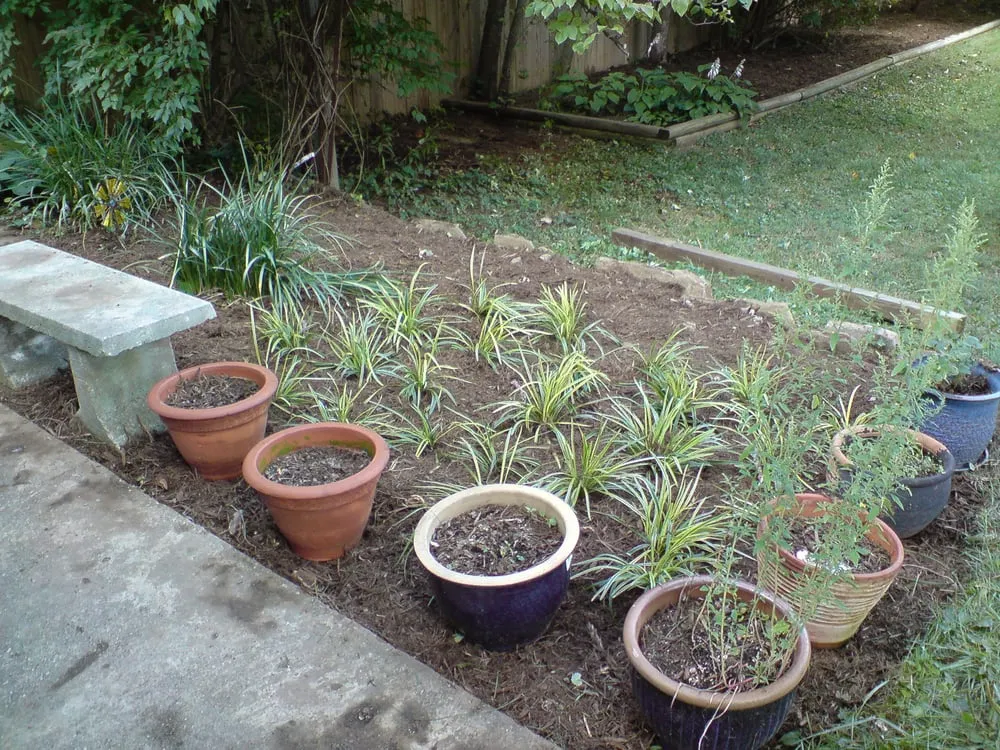 Trusted landscape installation experts serving Bethesda, MD - Cool Cuts Landscaping