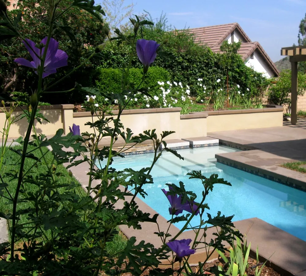 Trusted residential landscaping experts serving Fountain Valley, CA - Cool Designs for Landscapes