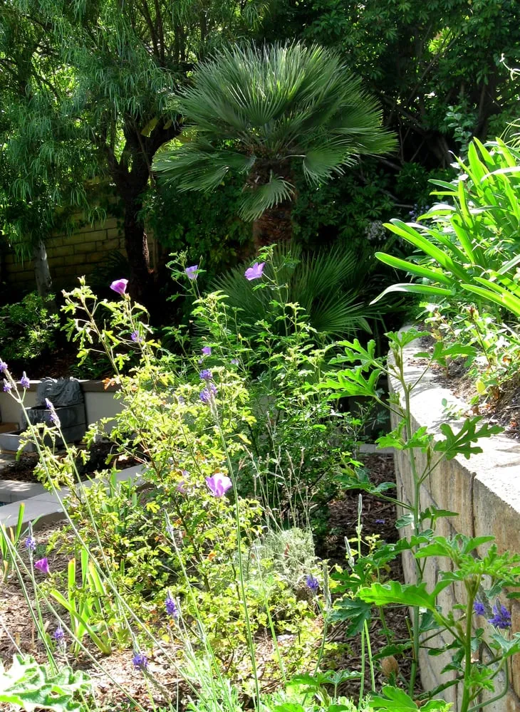 Affordable garden landscaping in Fountain Valley, CA - Cool Designs for Landscapes