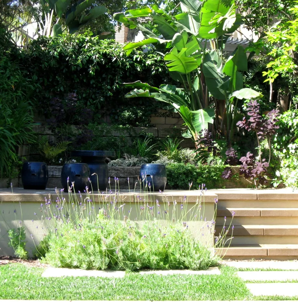 Top-rated yard maintenance near you in Fountain Valley, CA by Cool Designs for Landscapes