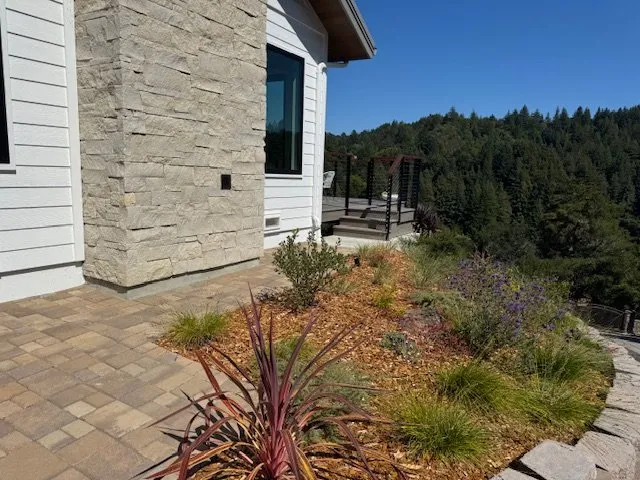 Expert lawn care service in Santa Cruz, CA by Cool Earth Landscapes