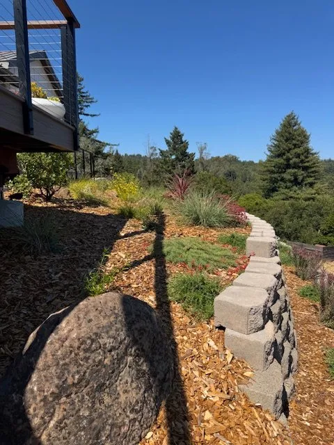 Professional lawn mowing service in Santa Cruz, CA by Cool Earth Landscapes