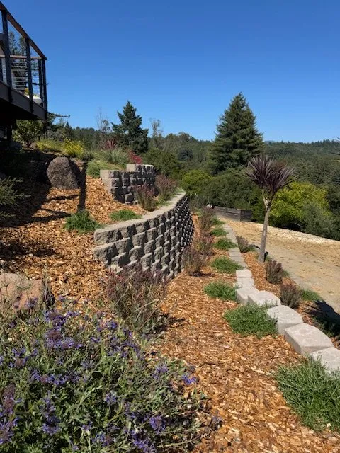 Professional lawn care service experts serving Santa Cruz, CA - Cool Earth Landscapes