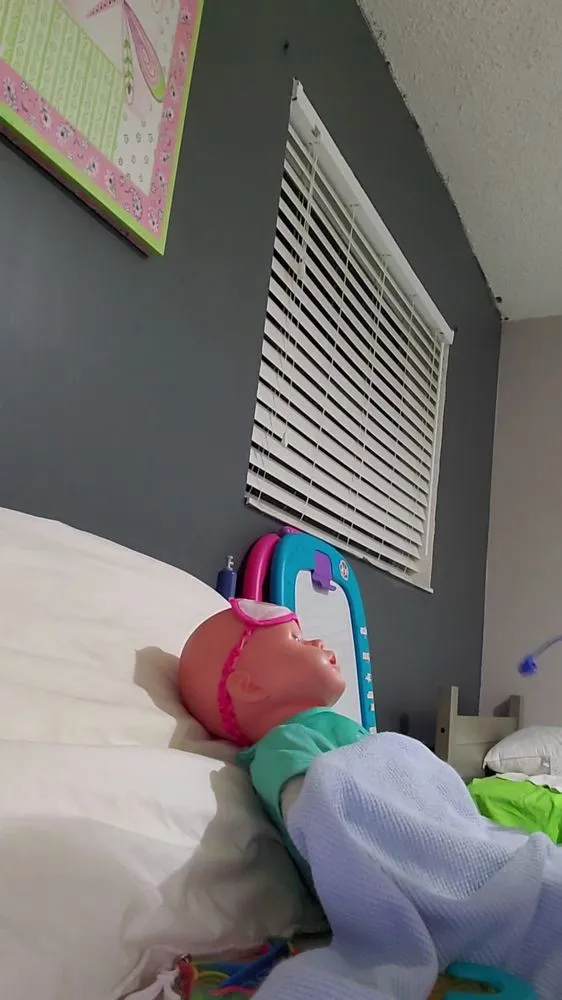 Top-rated landscape installation in Hollywood, FL - Cool Guys Services