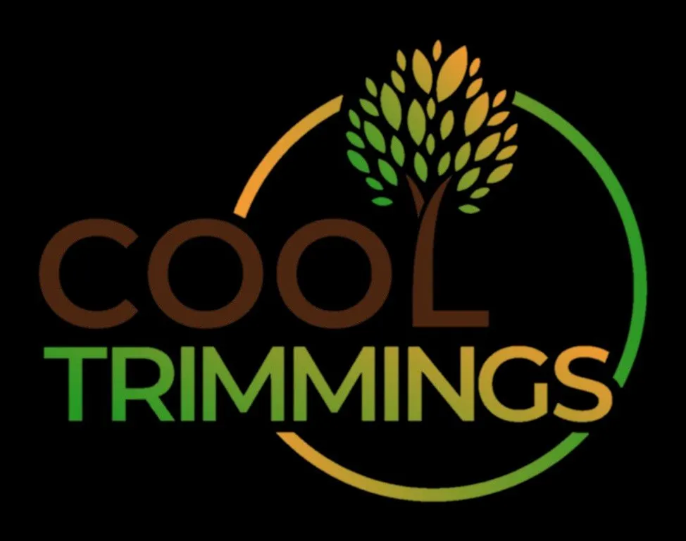 Affordable residential landscaping for residential properties in Queen Creek, AZ by Cool Trimmings