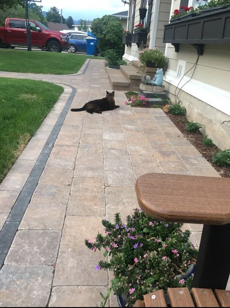 Affordable yard maintenance experts serving Highland, UT - Cooley Landscaping