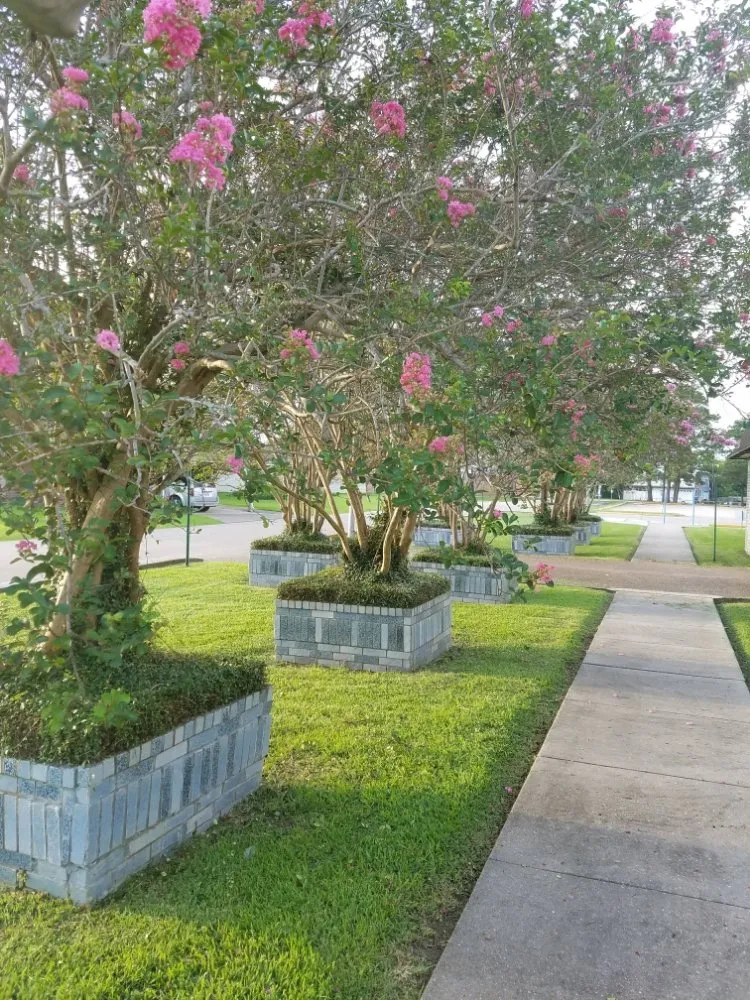 Affordable yard cleanup service for residential properties across Montegut, LA - Cooley Services