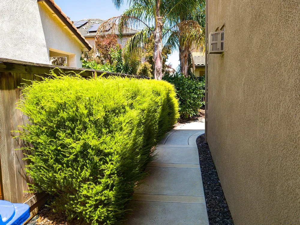 Local lawn care service for homes in Sacramento, CA by Cooley’s Property Maintenance