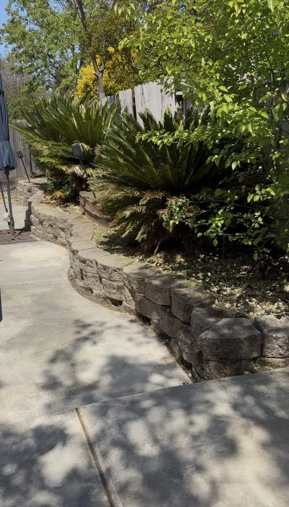 Top-rated lawn care service in Sacramento, CA by Cooley’s Property Maintenance