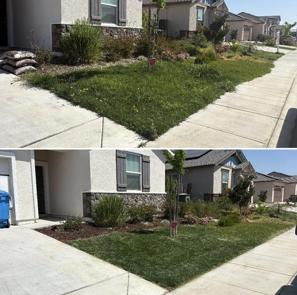 Custom yard cleanup service for year-round maintenance in Sacramento, CA by Cooley’s Property Maintenance