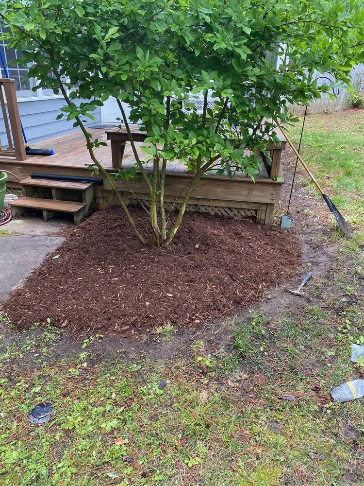 Reliable landscape design experts serving Apex, NC - Cooling Crew