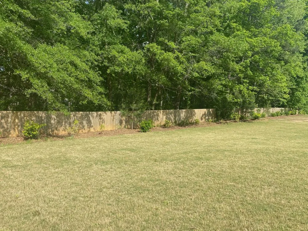 Expert lawn care service for year-round maintenance in Apex, NC by Cooling Crew