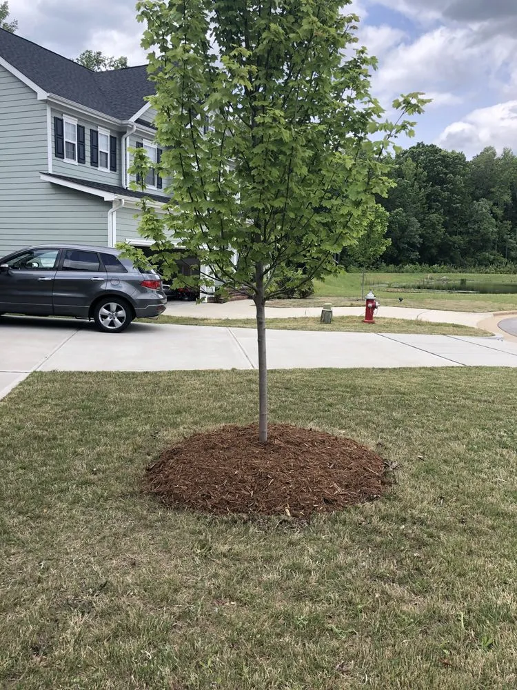 Professional yard maintenance in Apex, NC - Cooling Crew