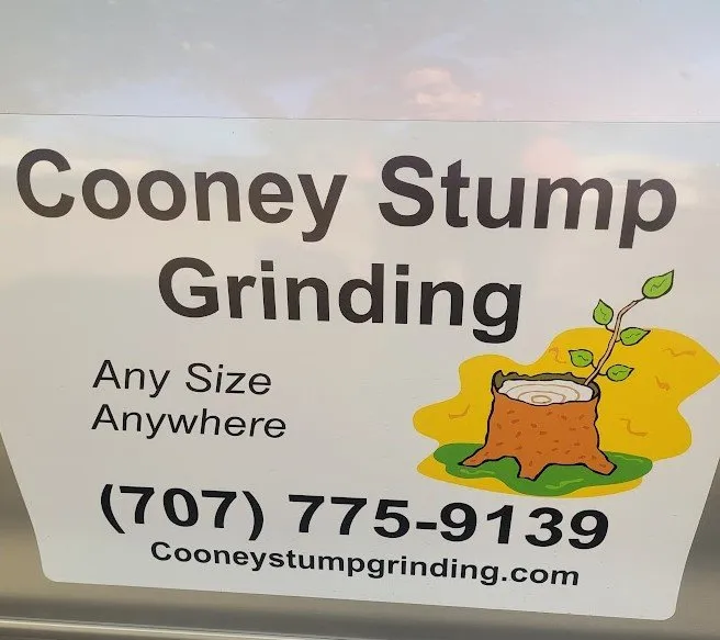 Expert garden landscaping experts serving League City, TX - Cooney Stump Grinding