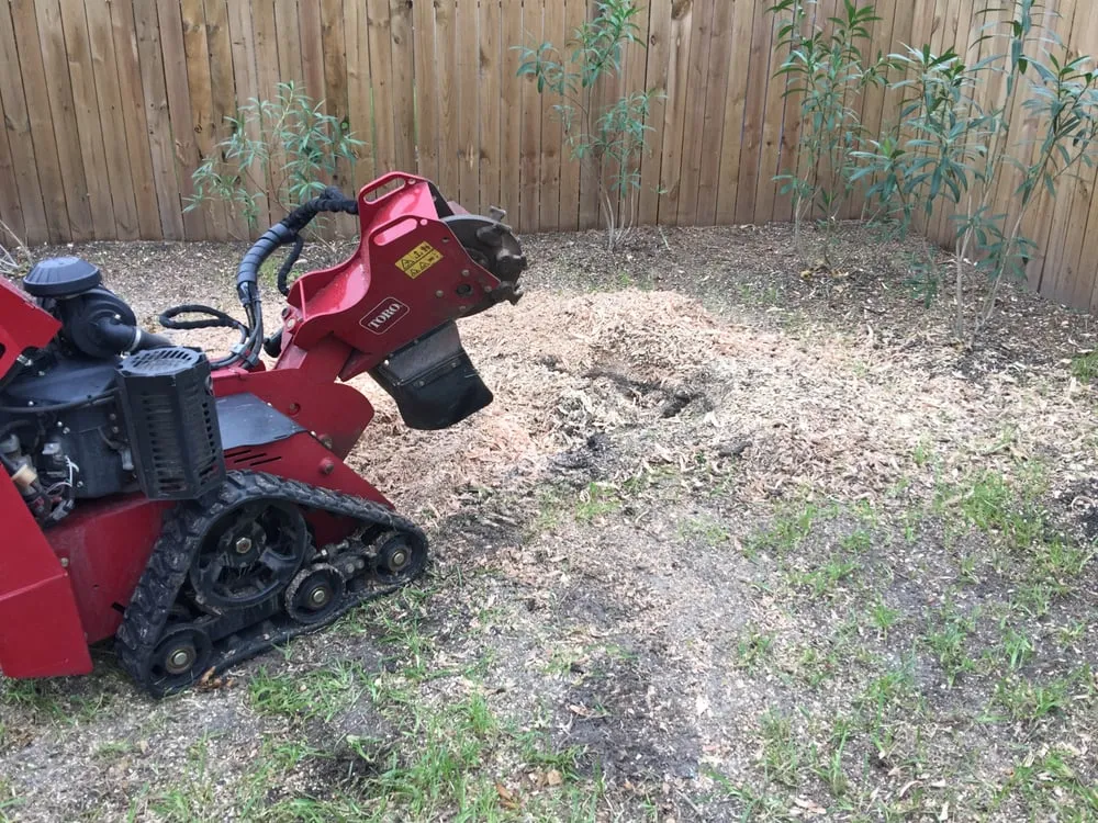 Professional landscape design in League City, TX - Cooney Stump Grinding