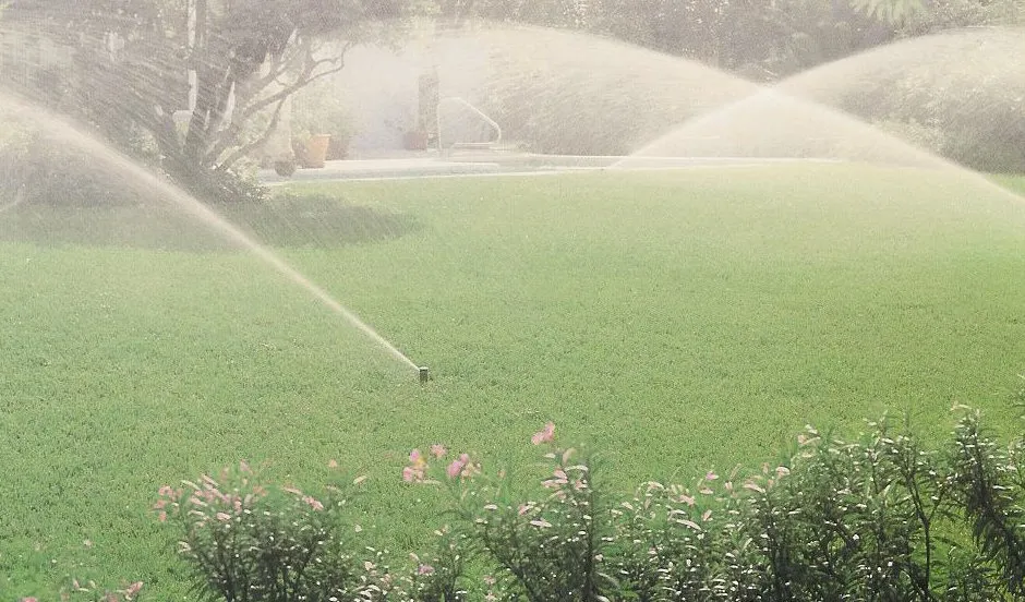 Top-rated yard cleanup service experts serving Grand Haven, MI - Coon's Quality Care Lawn Service