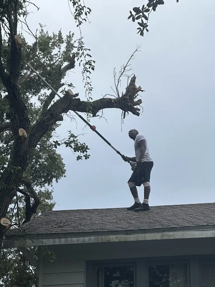 Expert outdoor landscaping experts serving Ormond Beach, FL - Cooper Cuts