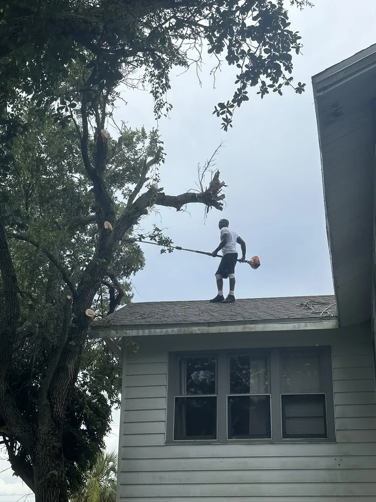 Custom yard cleanup service experts serving Ormond Beach, FL - Cooper Cuts