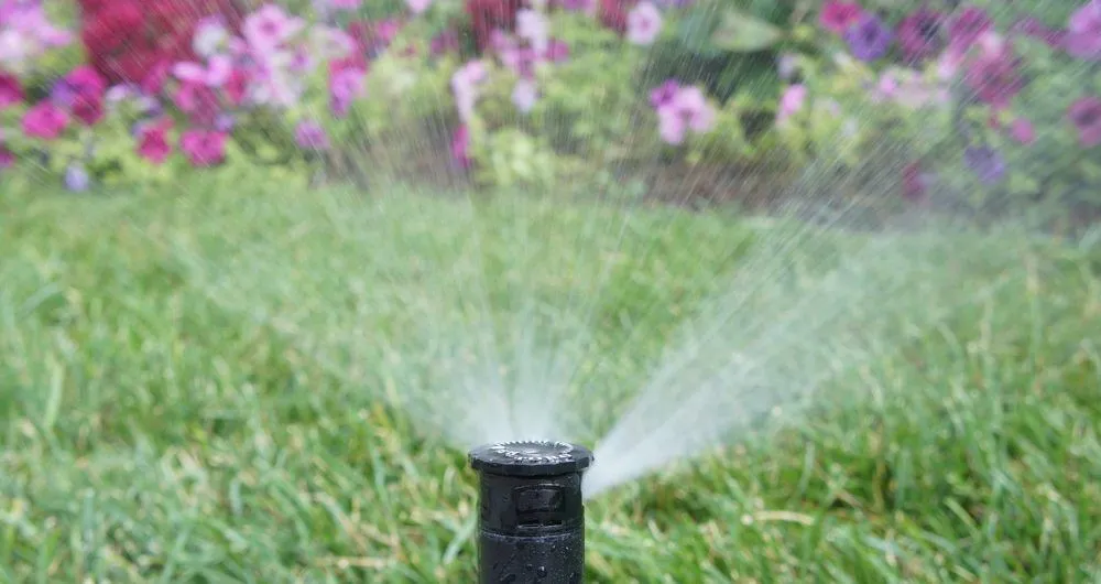 Professional residential landscaping experts serving Ormond Beach, FL - Cooper Cuts