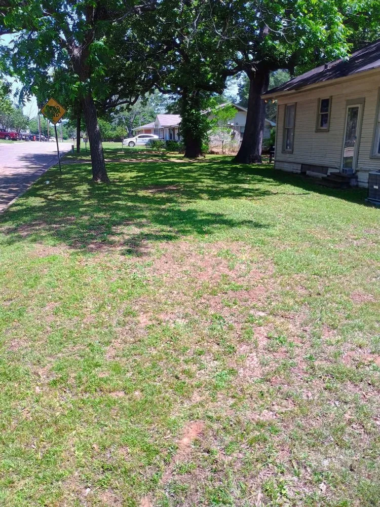 Local outdoor landscaping in Paris, TX - Cooper Janitorial Service