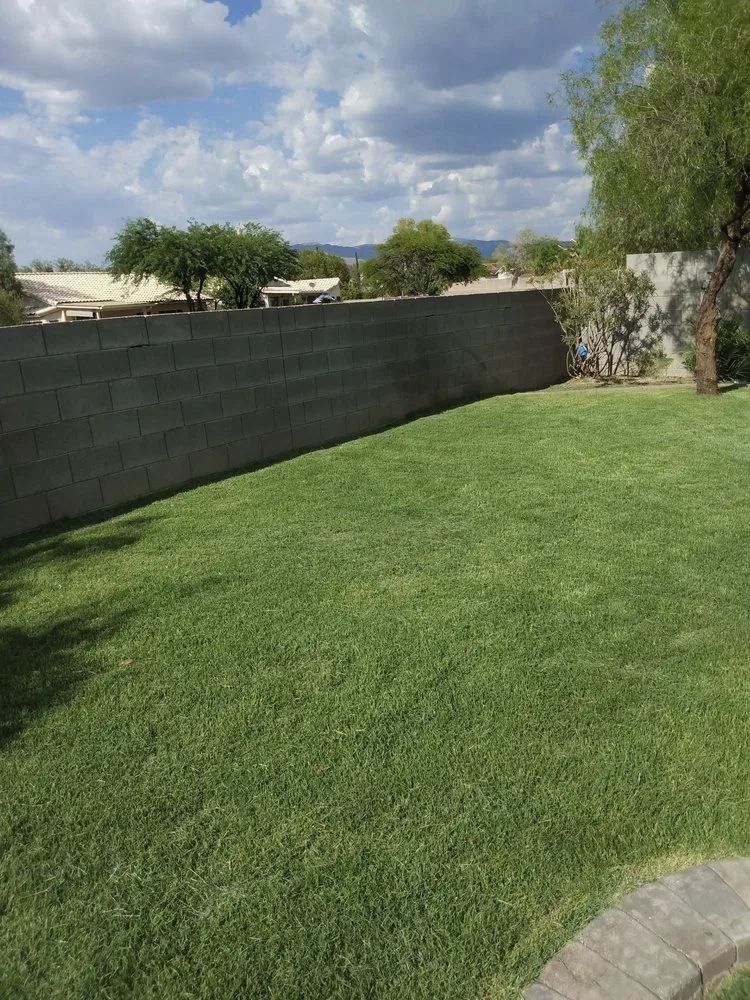 Reliable garden landscaping in Tucson, AZ by Cooper Landscaping