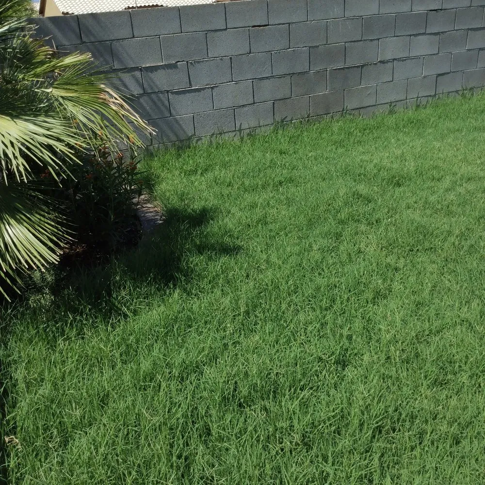 Expert residential landscaping with custom design in Tucson, AZ by Cooper Landscaping