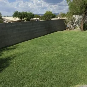 Professional landscape installation with custom design in Tucson, AZ by Cooper Landscaping
