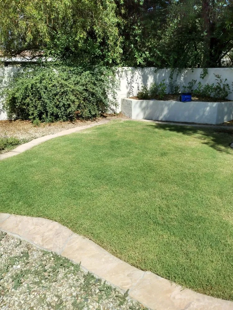 Expert residential landscaping with custom design across Tucson, AZ - Cooper Landscaping