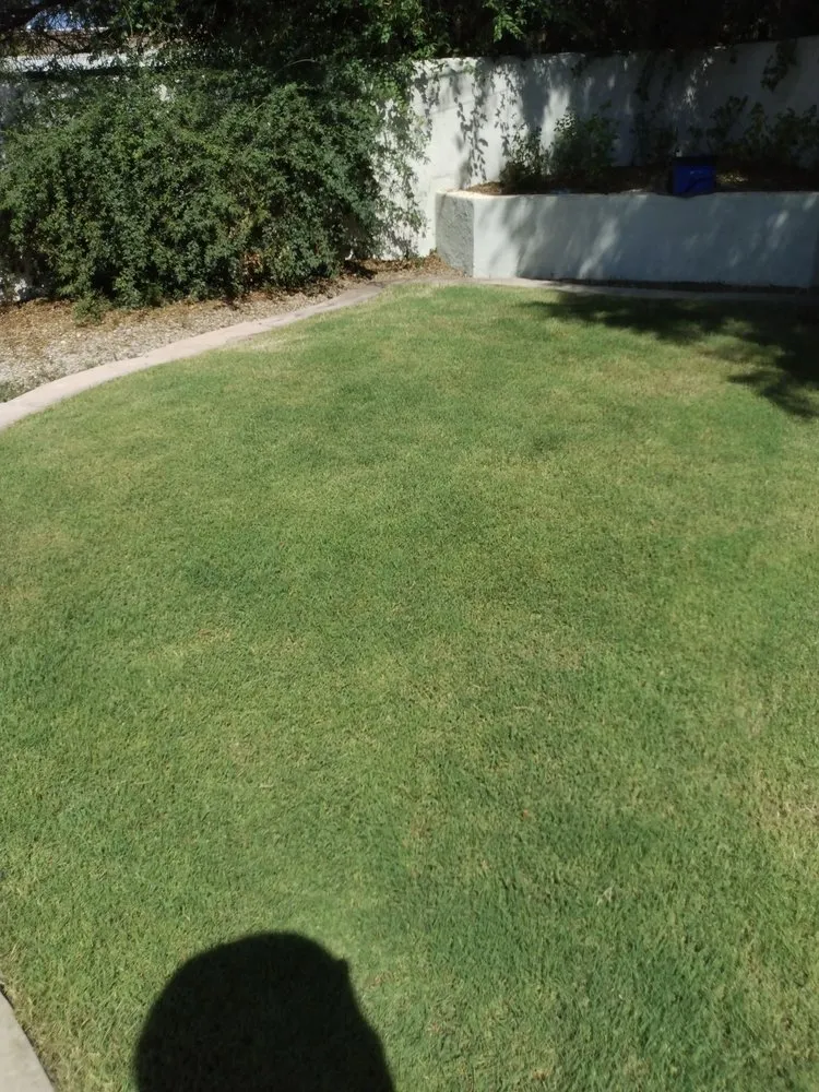 Trusted lawn mowing service for year-round maintenance in Tucson, AZ by Cooper Landscaping