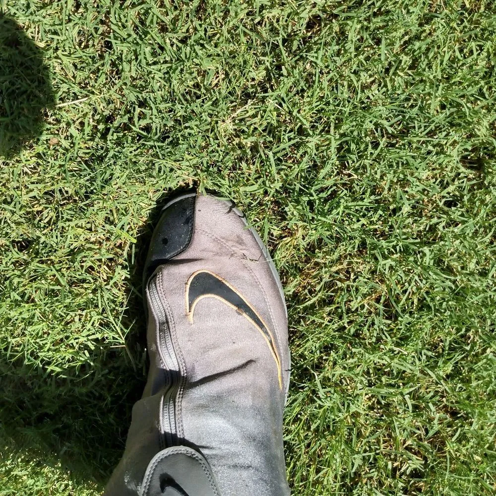 Expert landscape installation in Tucson, AZ - Cooper Landscaping