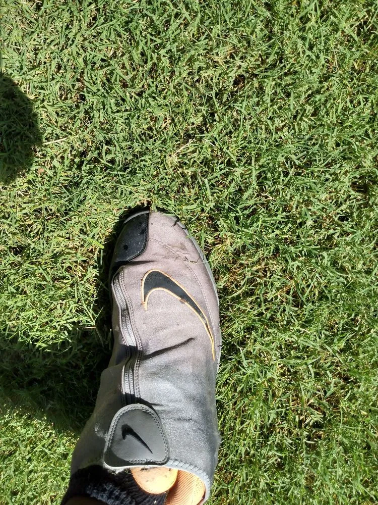 Trusted landscaping services for homes across Tucson, AZ - Cooper Landscaping