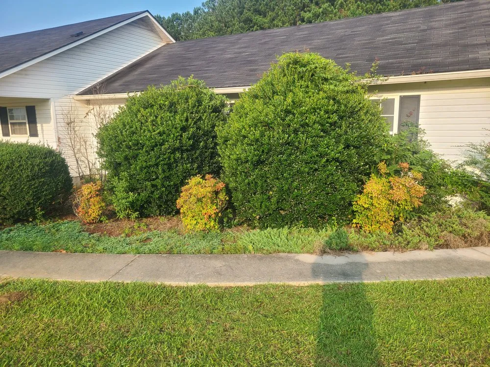 Expert yard cleanup service for homes in Statesboro, GA by Cooper Lawn & Landscape
