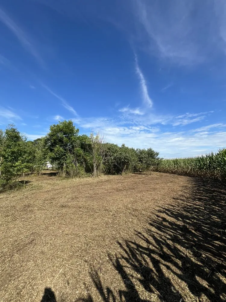 Professional lawn mowing service for outdoor upgrades in Dillon, SC by Cooper Lawn Care and Landscape