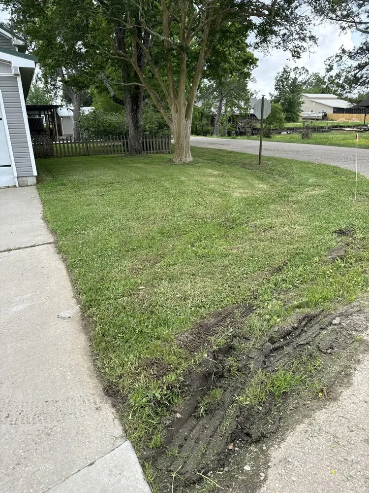 Custom yard maintenance for year-round maintenance in Hammond, LA by Cooper Lawn Care