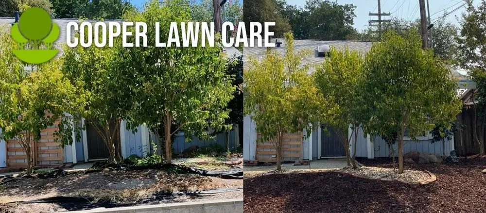 Professional garden landscaping in Sacramento, CA by Cooper Lawn Care
