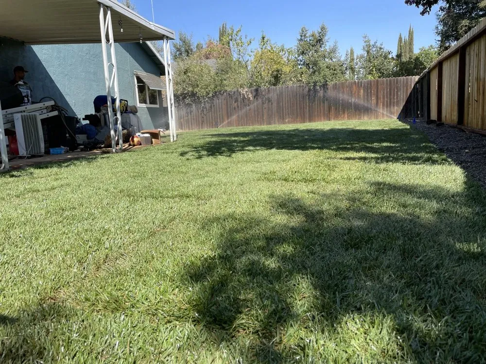 Top-rated outdoor landscaping in Sacramento, CA by Cooper Lawn Care