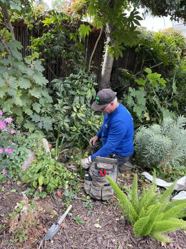 Trusted lawn mowing service in Sacramento, CA - Cooper Lawn Care